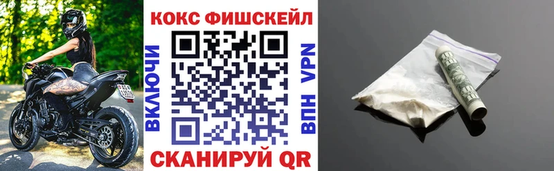 КОКАИН FishScale  Каменка 