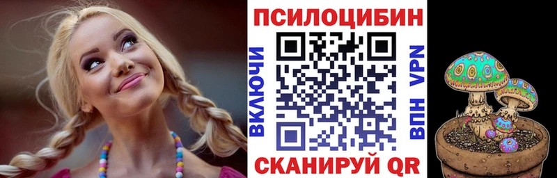 гидра ссылка  как найти закладки  Каменка  Галлюциногенные грибы ЛСД 