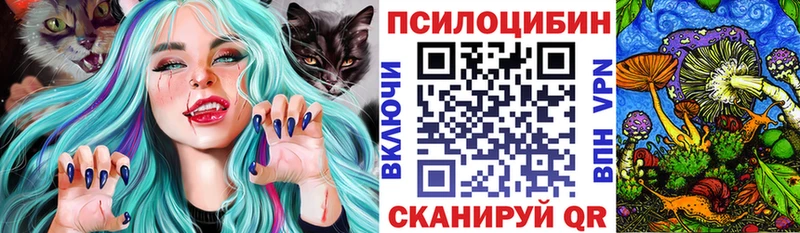 Псилоцибиновые грибы Psilocybine cubensis Каменка