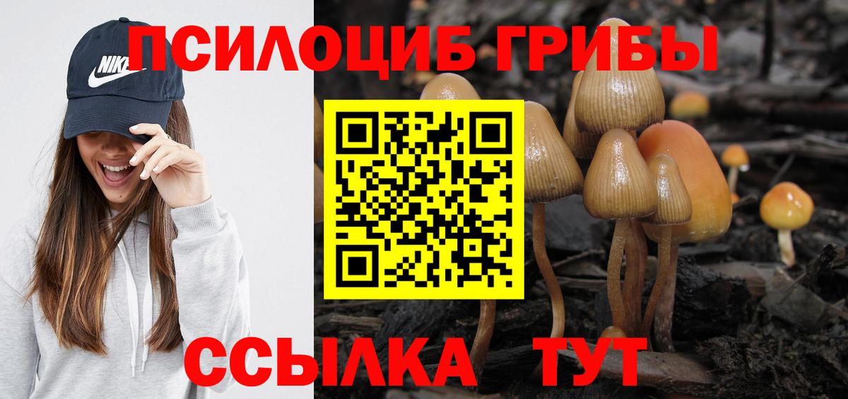 купить наркоту  Галлюциногенные грибы Cubensis  Вход с VPN  Каменка 